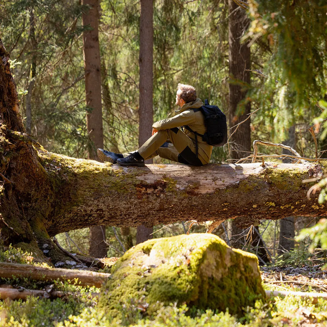 Pallas Miesten Warm X-stretch Takki<Halti Clearance